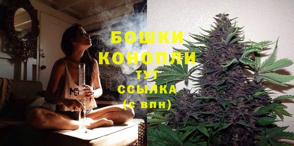 МДПВ Кодинск
