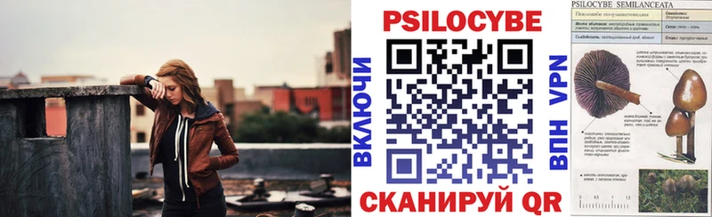 Псилоцибиновые грибы GOLDEN TEACHER  Чишмы 